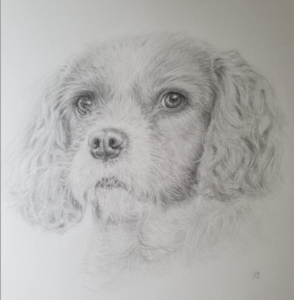 huisdier portretten, dieren en natuuronderwerpen