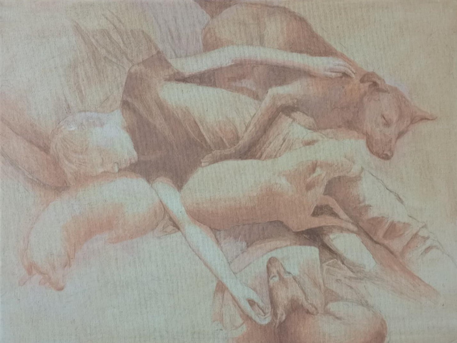 jongen en honden