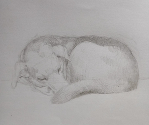 Tekeningen gemaakt in opdracht en vrij werk