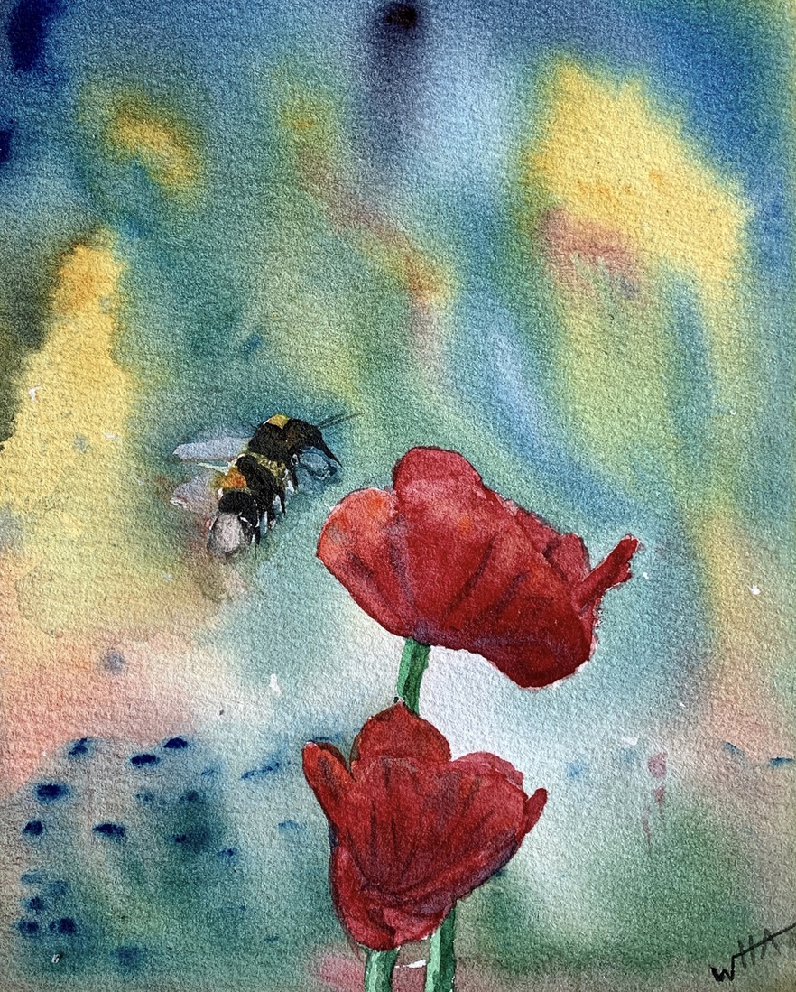 De bij en de klaprozen