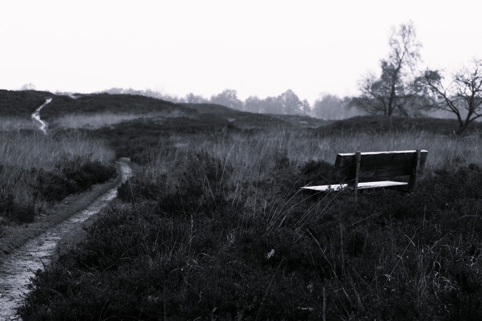 Gasterse Duinen