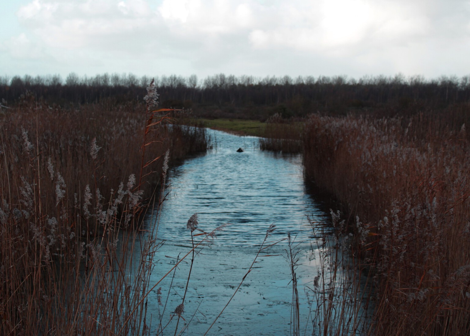 Stroompje