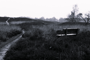 Enkele foto's