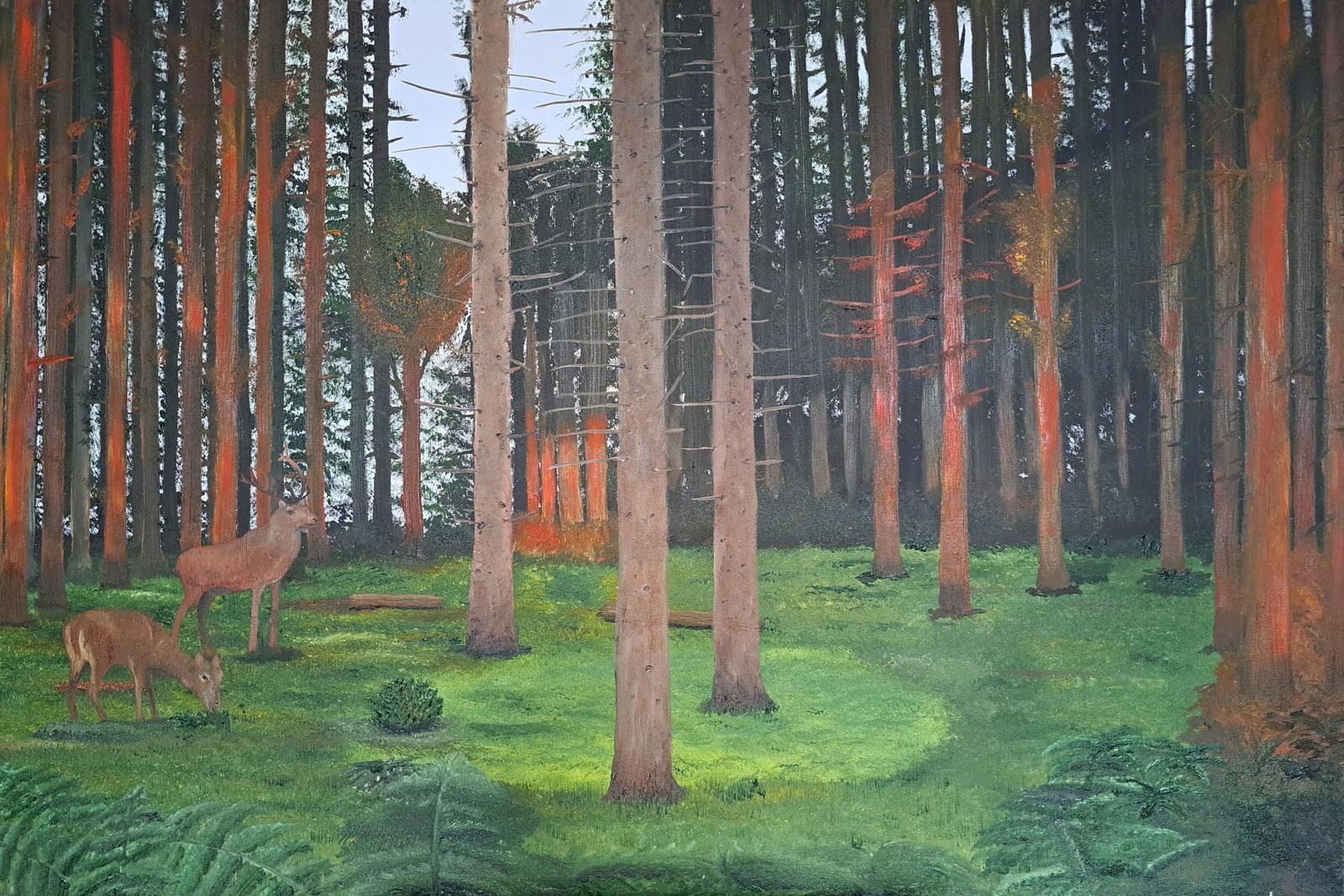 Oranje avondzon