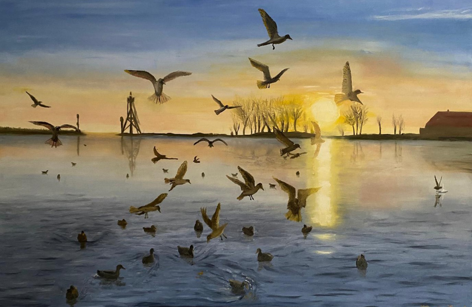 Vogels in het Julianapark (Hoorn)