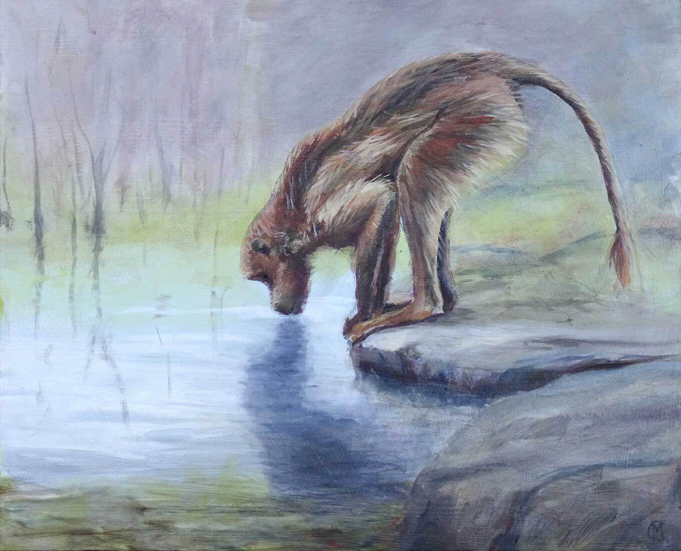 Berberaap aan het water