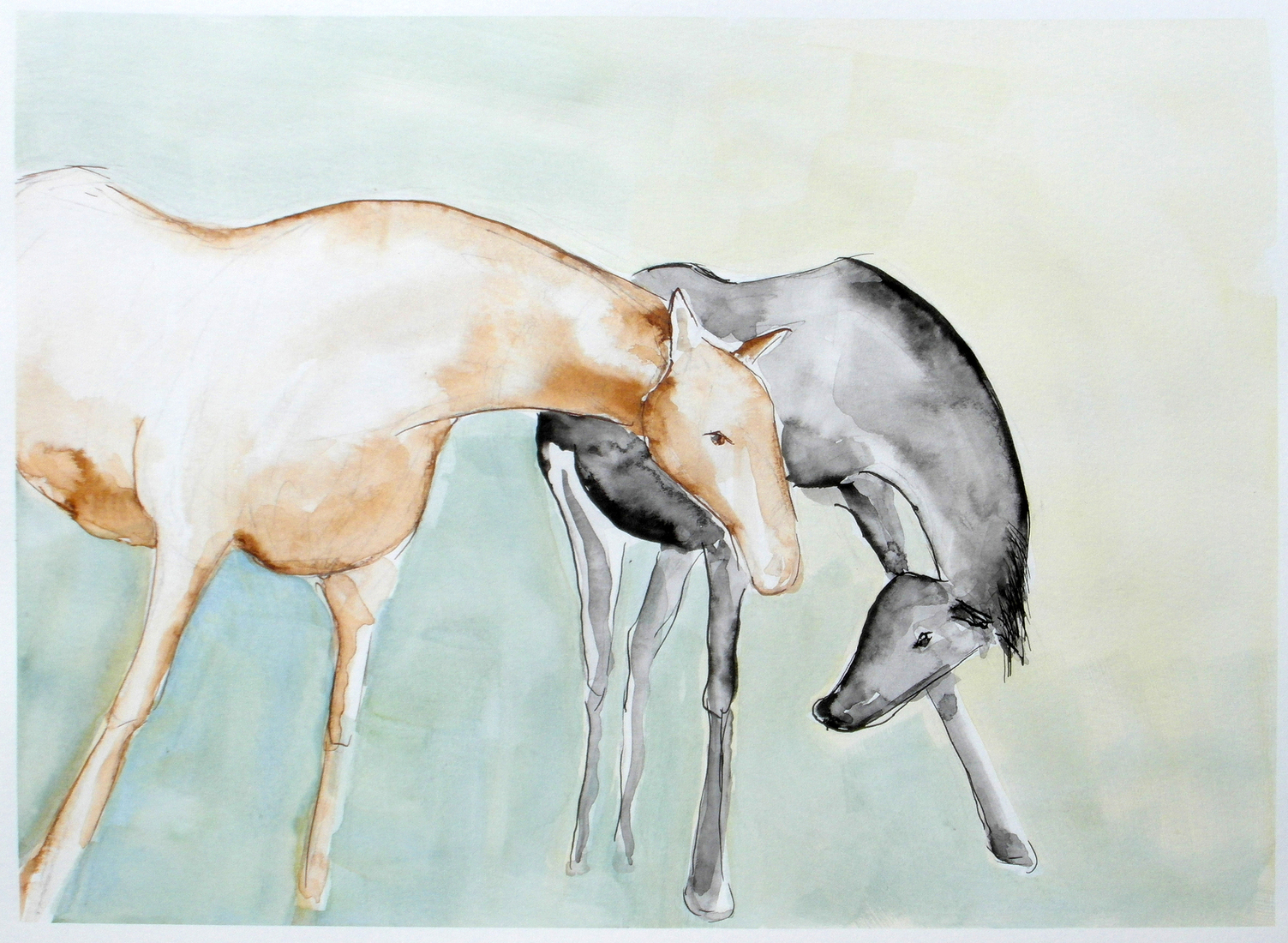  Terschellinger paarden. 