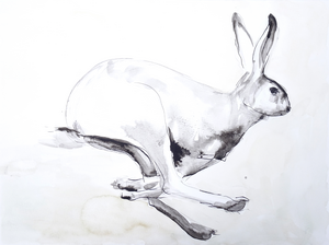 Pentekeningen , modeltekeningen en aquarellen