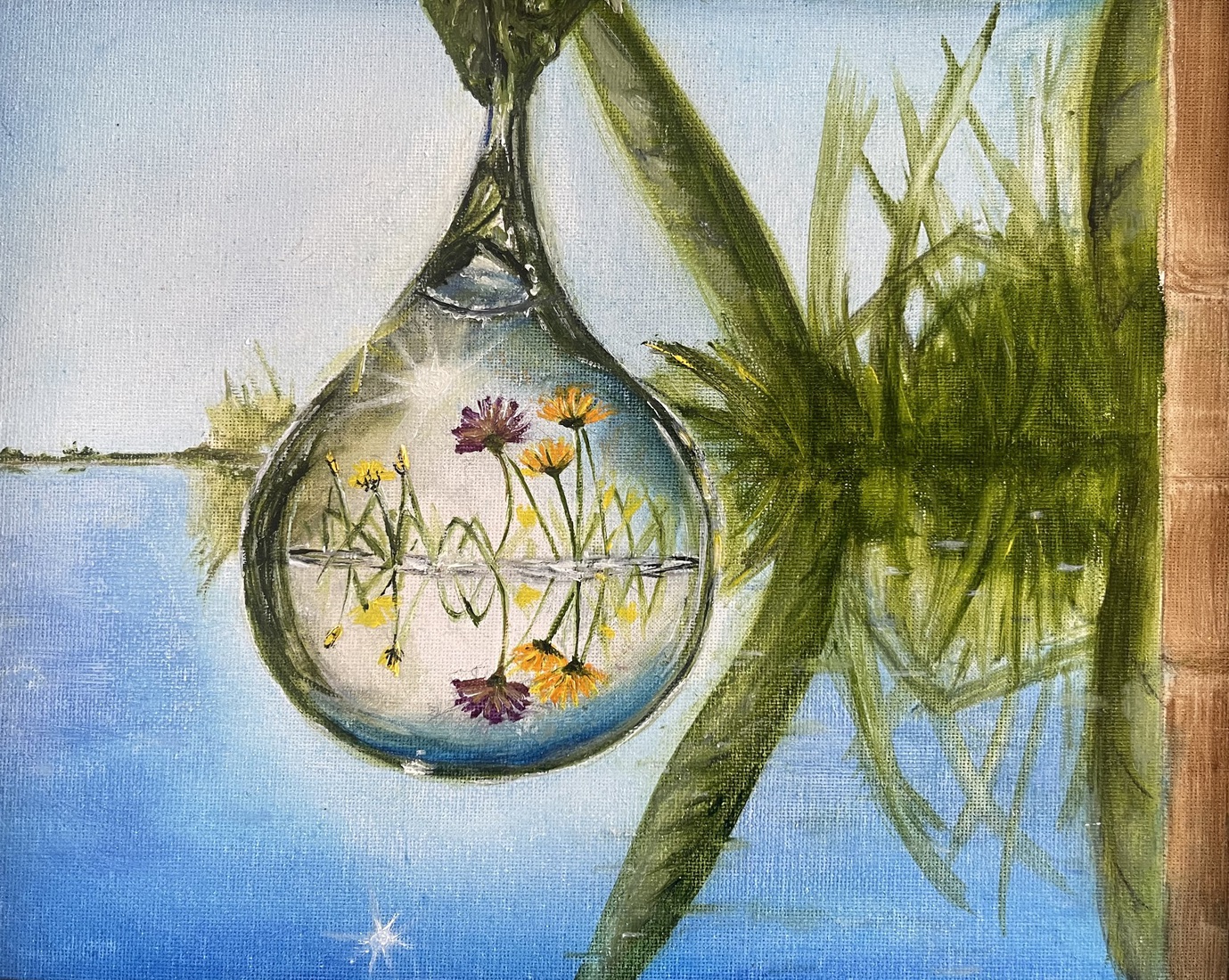 Waterplanten onder de loep