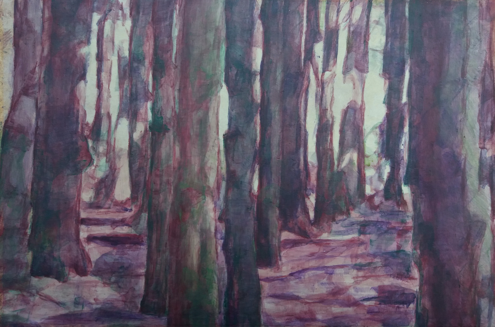 Door de bomen het bos