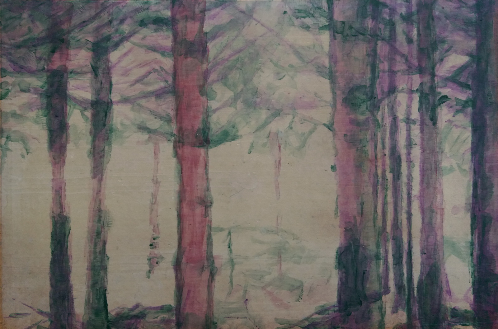 Door de bomen het bos