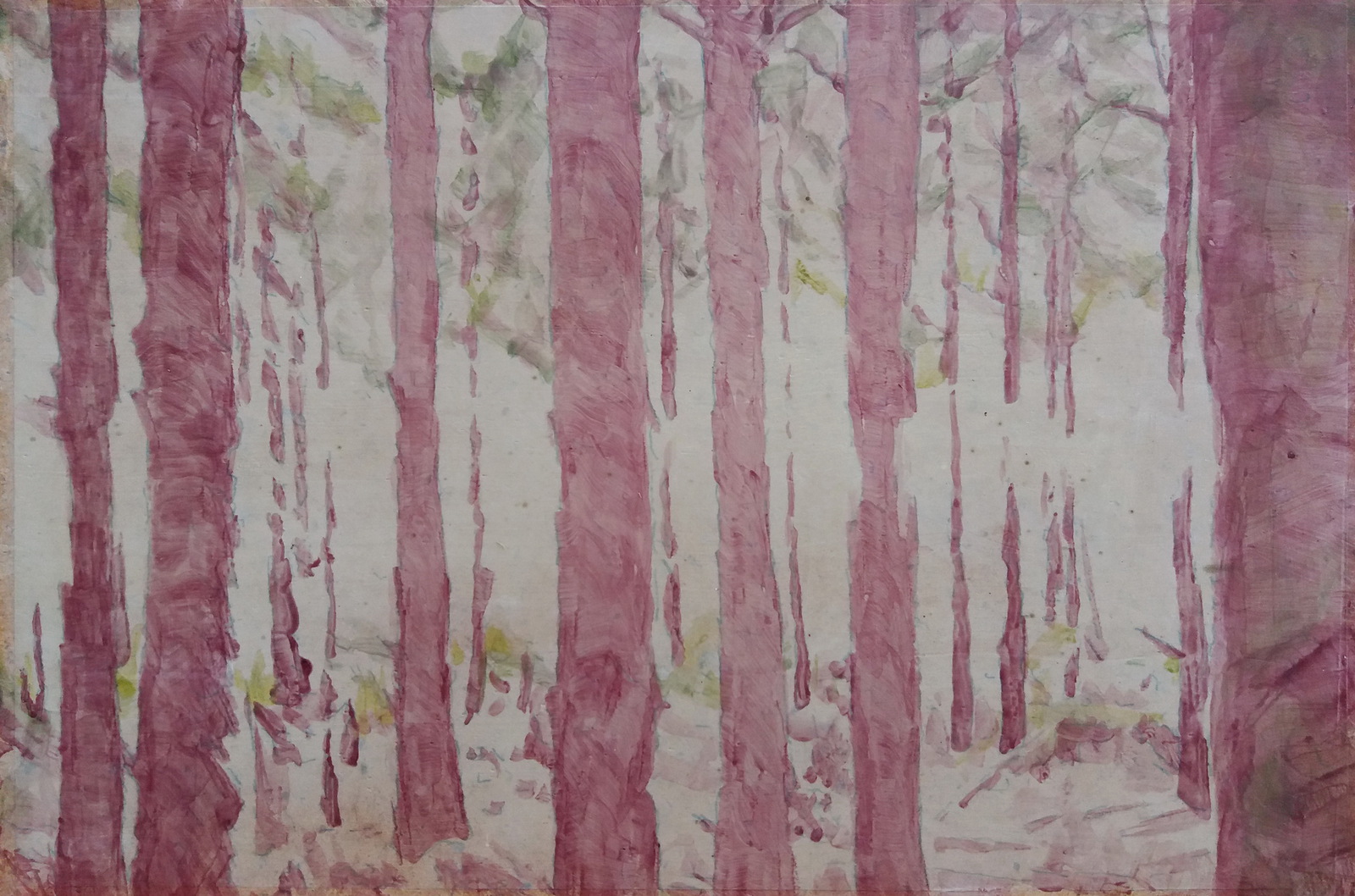 Door de bomen het bos