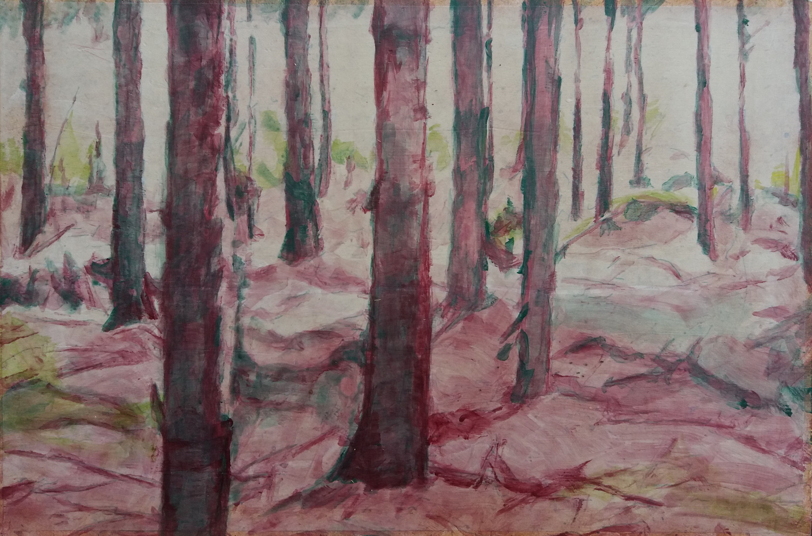 Door de bomen het bos