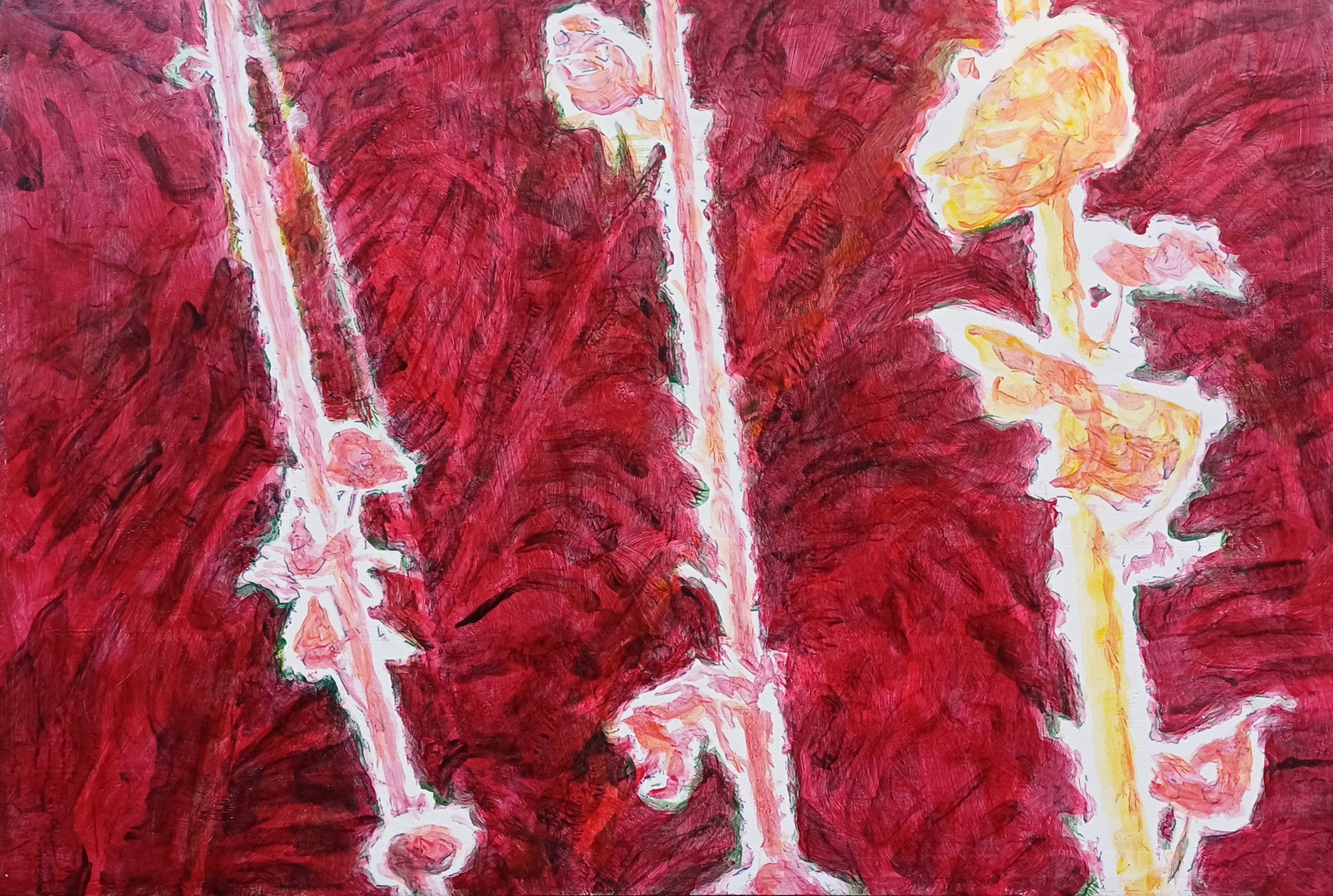 Uitgebloeid tegenlicht rood