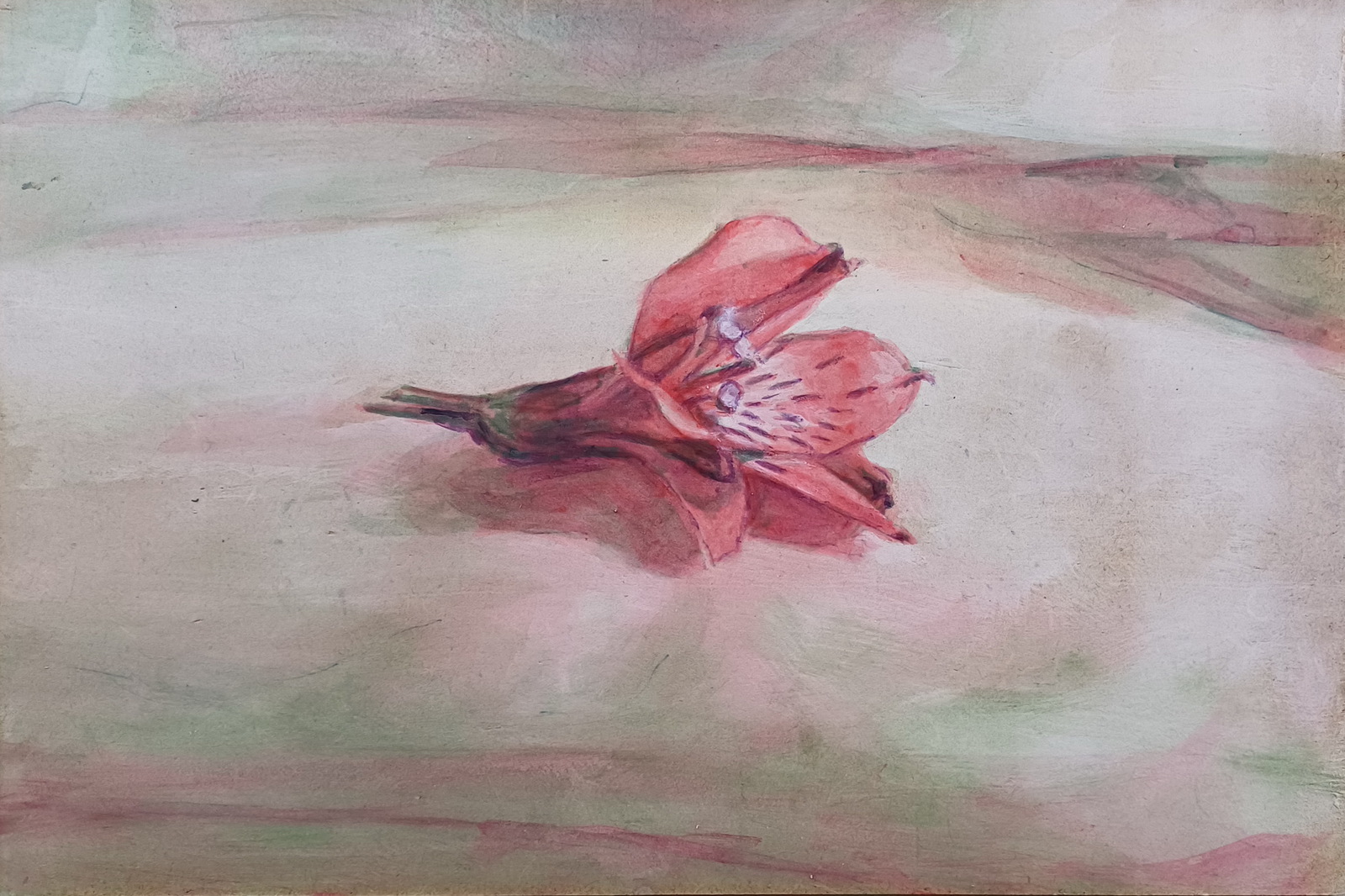 Gevallen bloempje roze