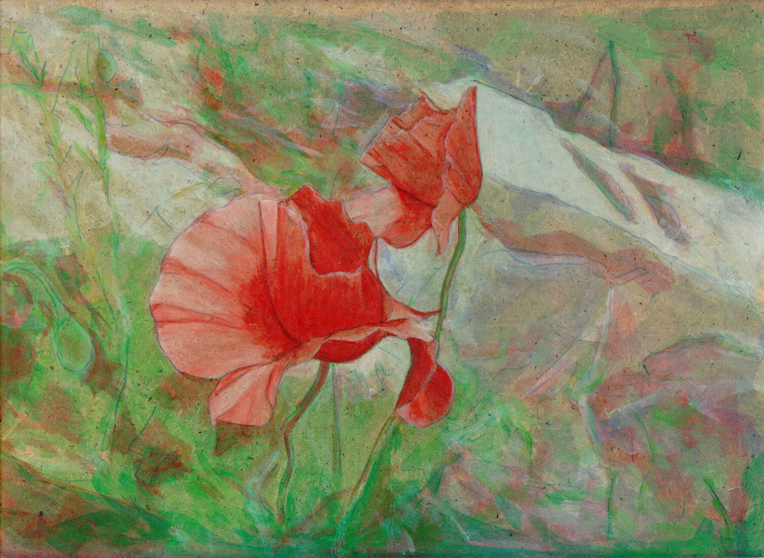 Klaproos in Vaulx-Chimay