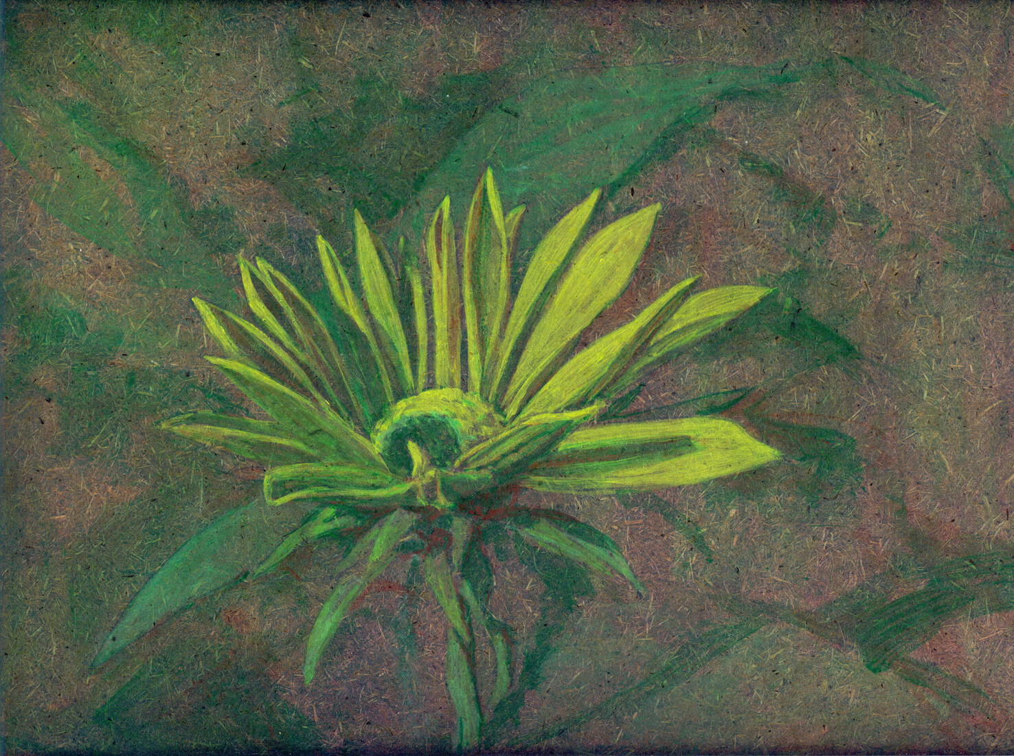 Bloem van aardpeer groen