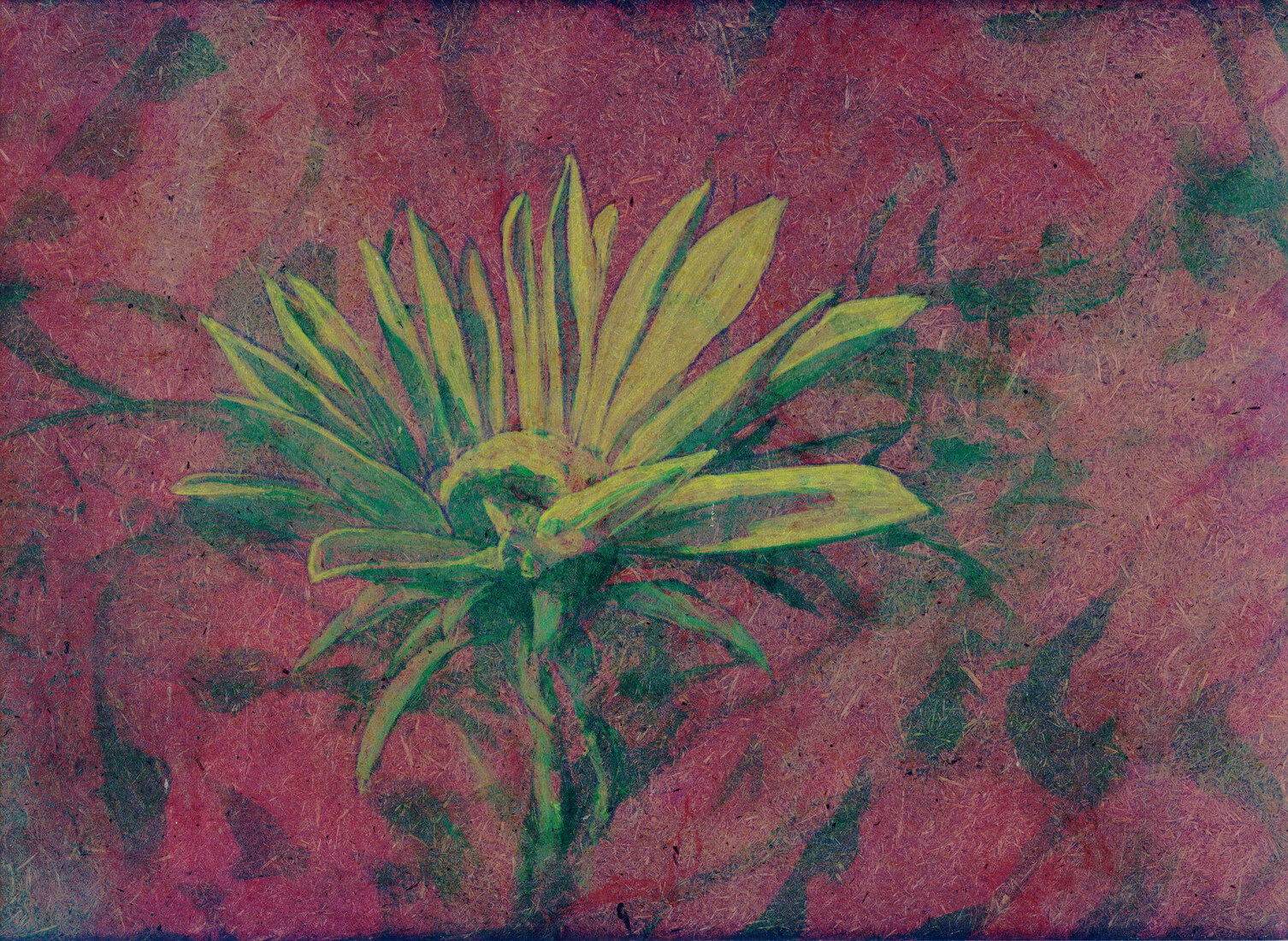 Bloem van aardpeer rood