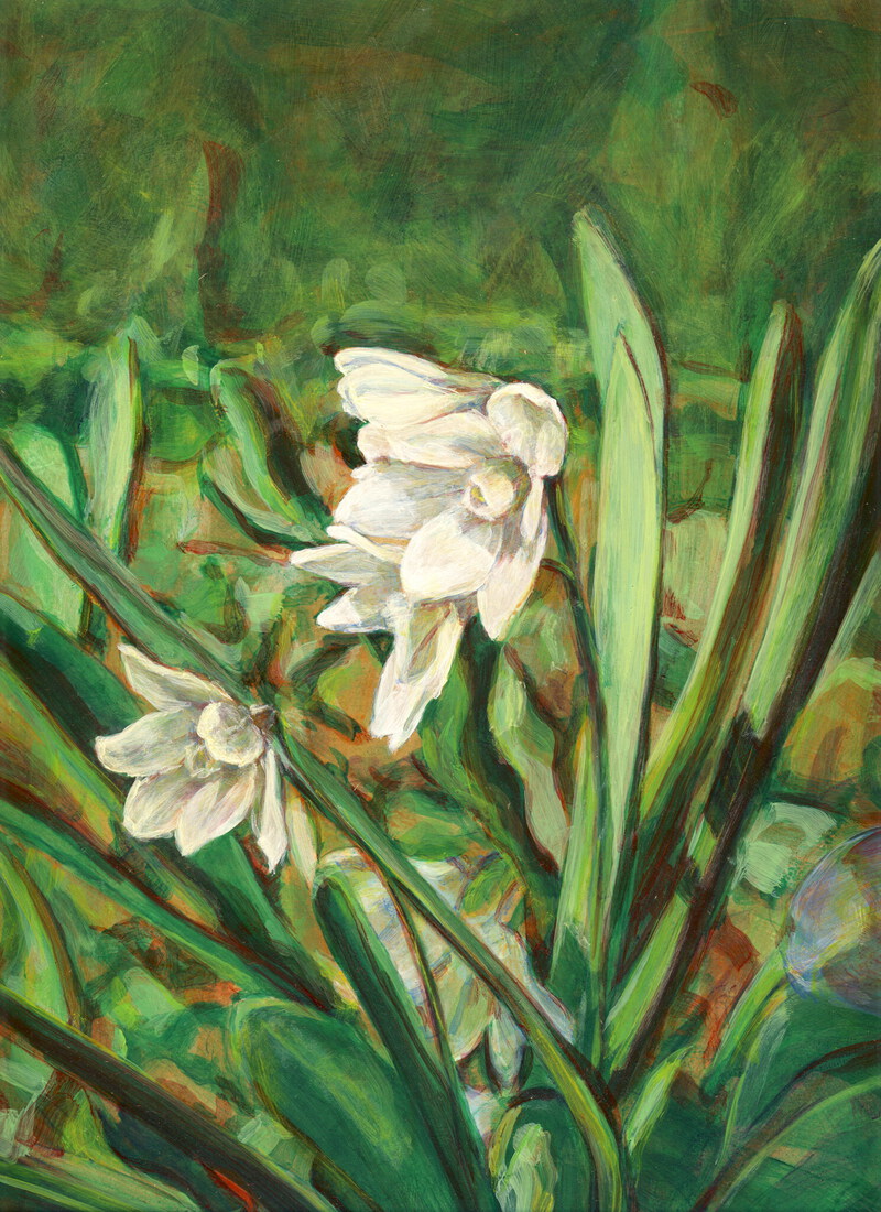 Sneeuwklokje in volle bloei