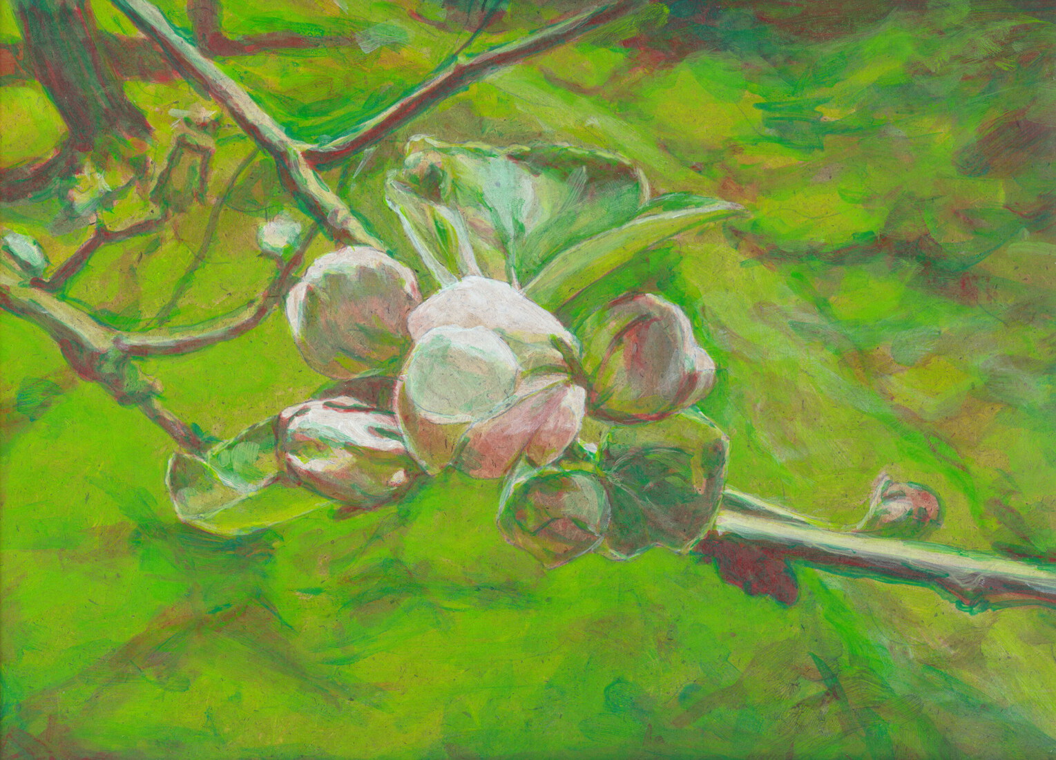 Appelbloesem in de tuin