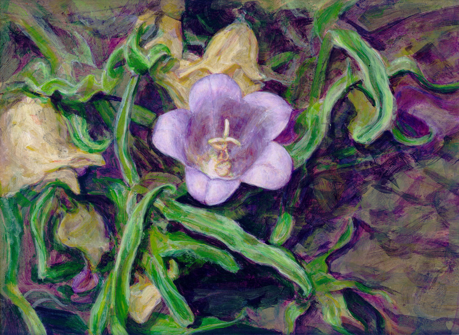 Klokje in de Spaanse Pyreneeën