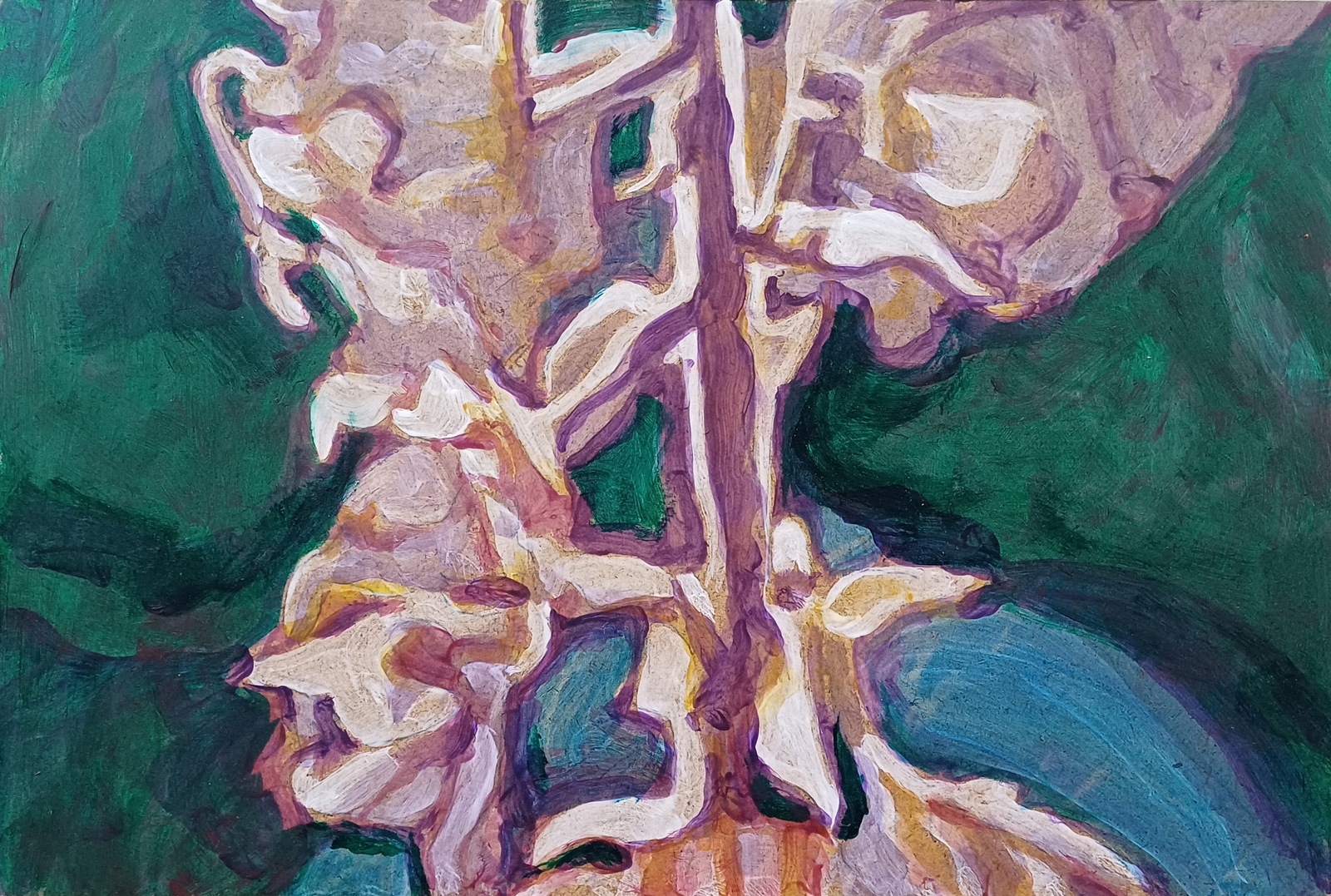 Uitgebloeid blauw-groen-violet onder