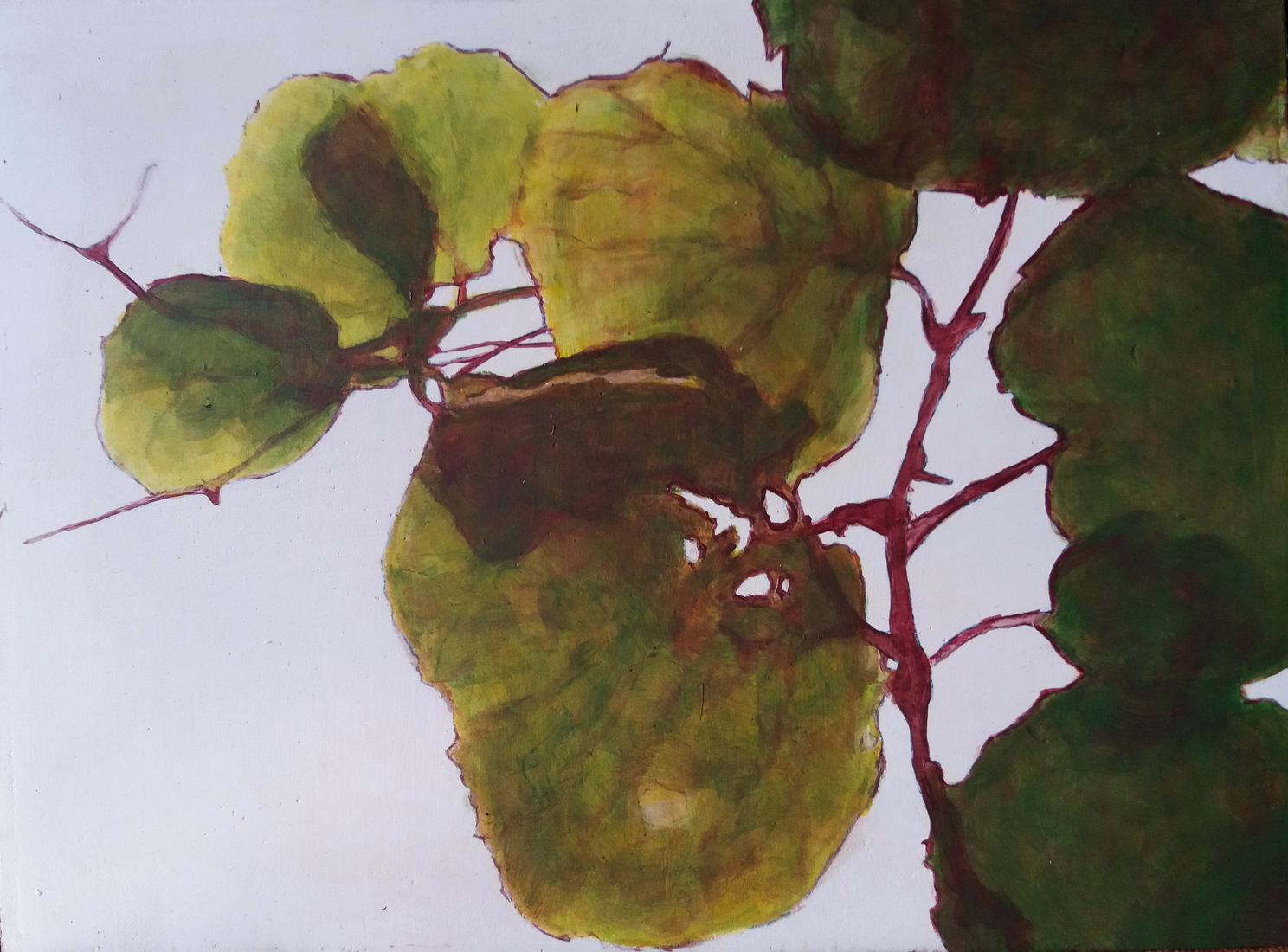 Kiwiblad tegenlicht groen 1