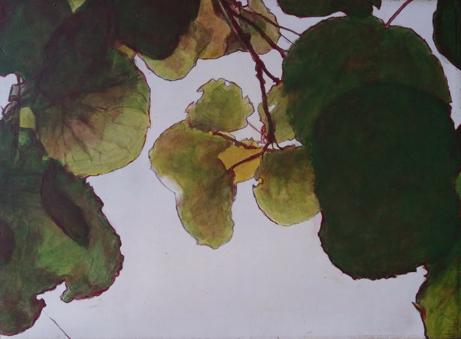 Kiwiblad tegenlicht groen 2