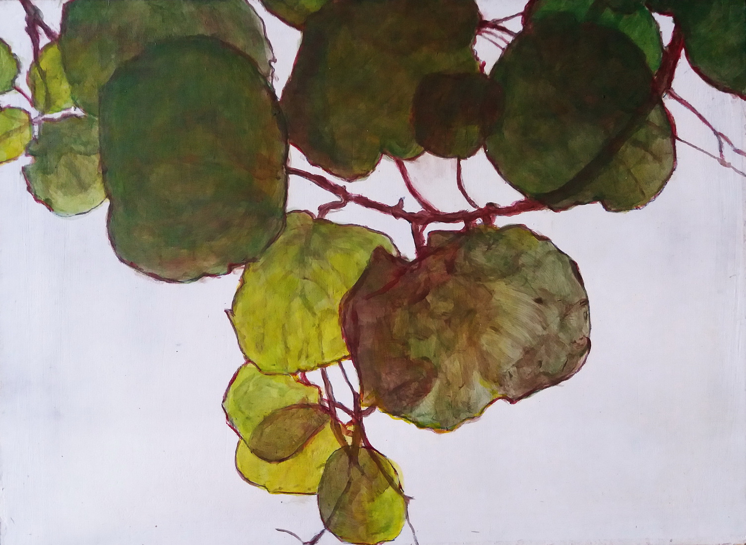 Kiwiblad tegenlicht groen 3