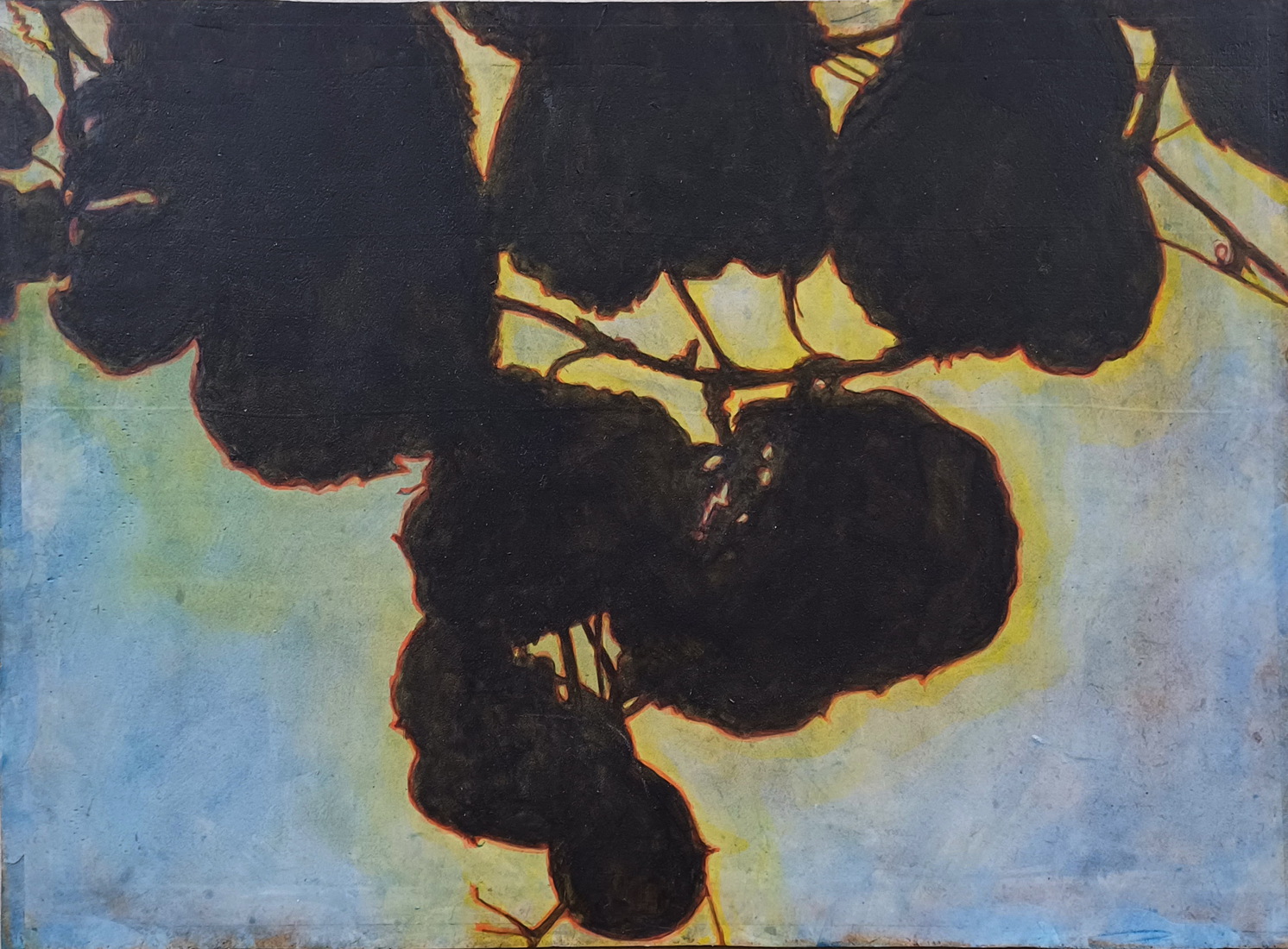 Kiwi zwart/avondlicht boven