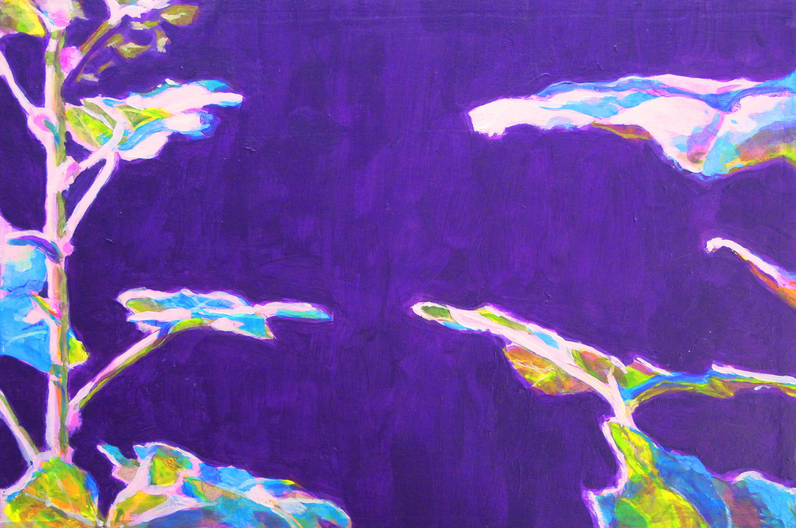 Stokroos fel tegenlicht leegte