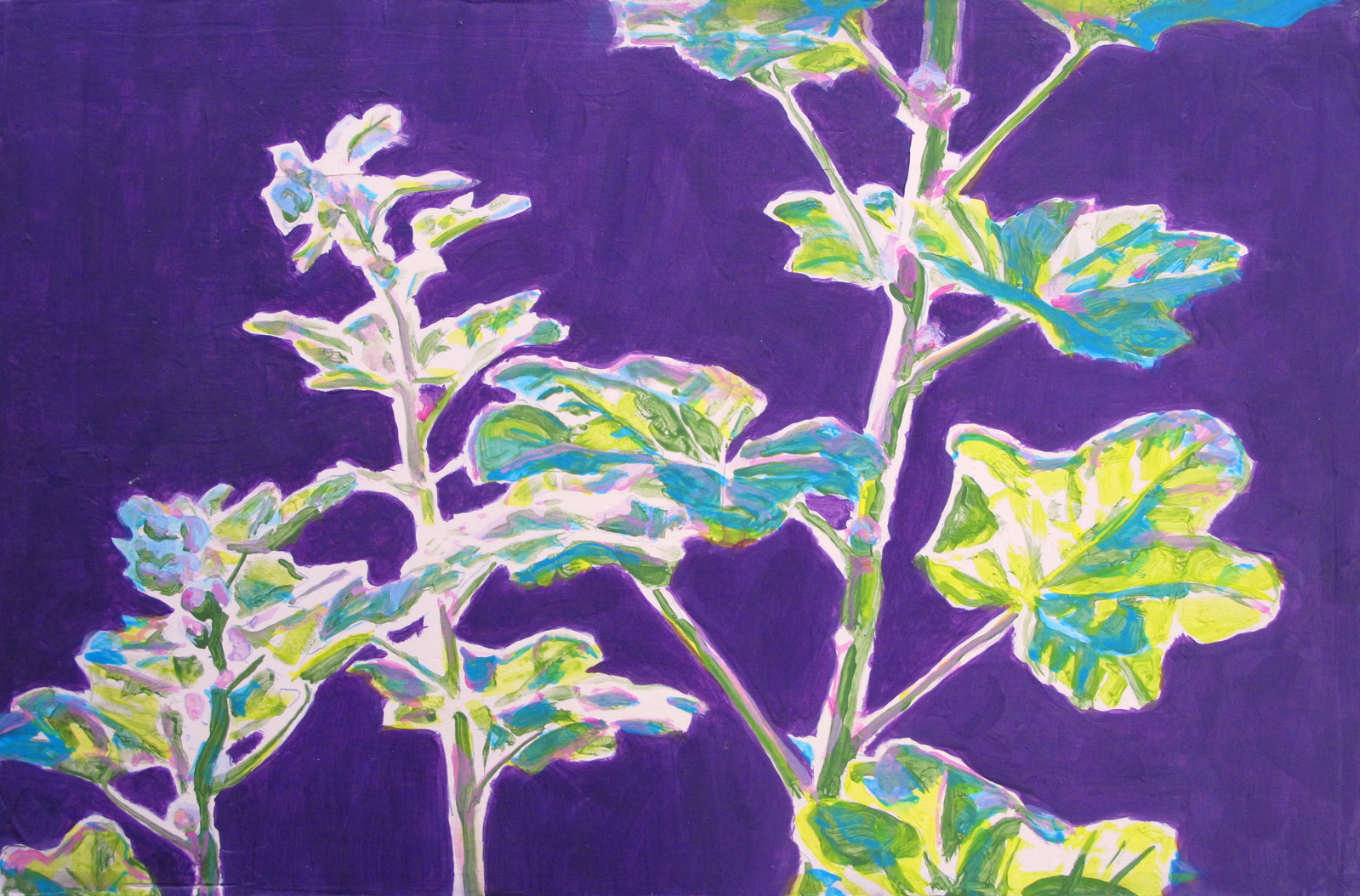 Stokrood fel tegenlicht boven