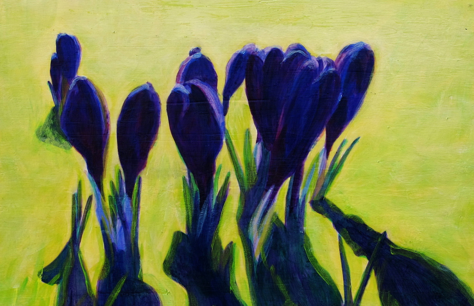 Krokussen in tuin - kleine versie