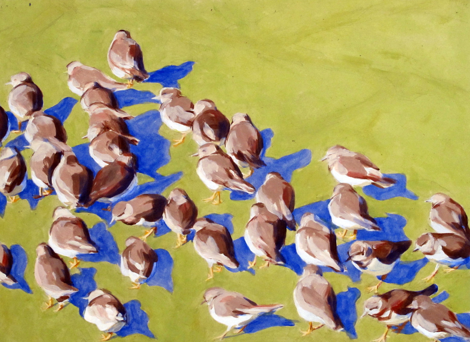 Plevieren op golfbreker