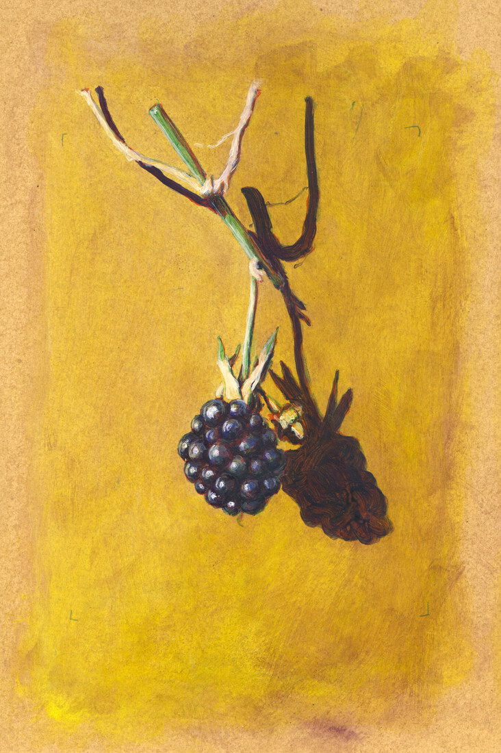 Braambes bij meisje met rode hoed