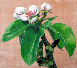 Het spel van licht en tegenlicht. De fragiliteit van een blad. In volle kleur of net niet.