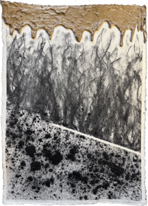 Works on Khadi handmade paper 640 gsm with mixed techniques.