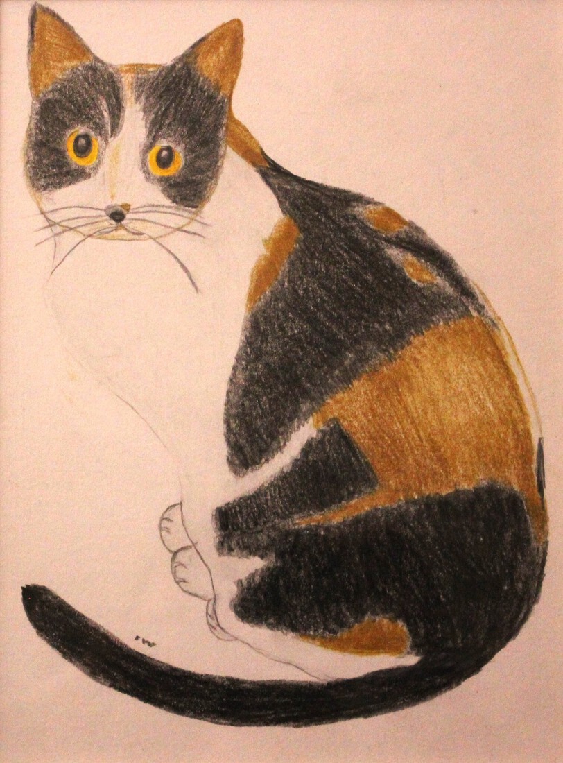 Poesje