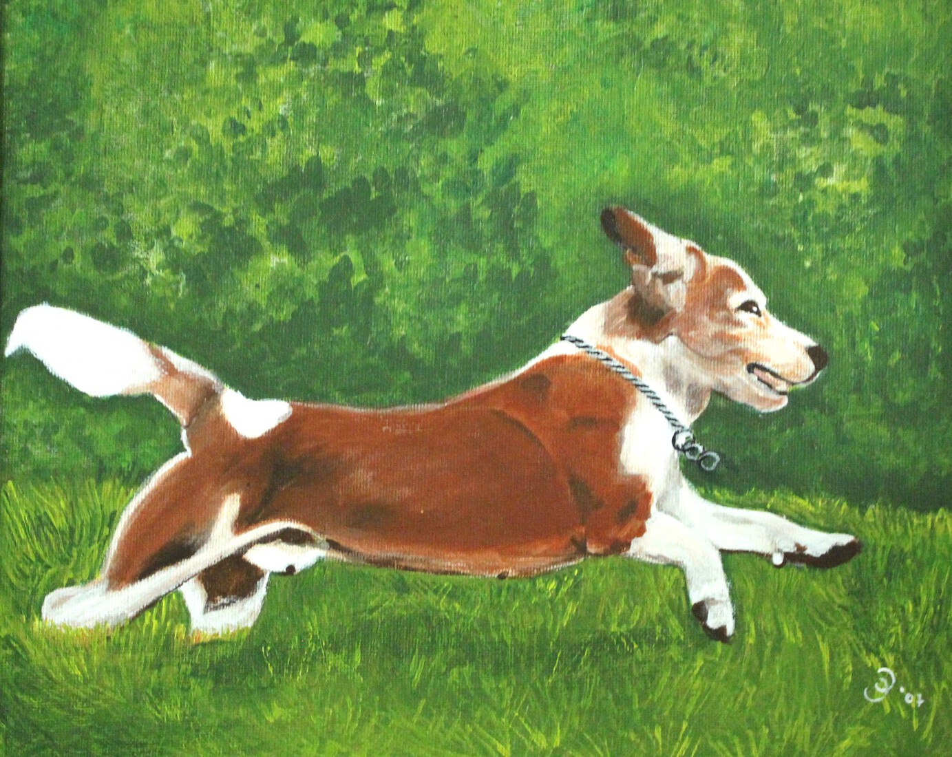 Een Beagle