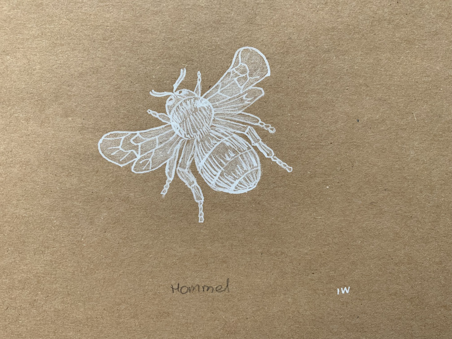 Een Hommel