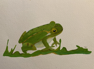 Dieren getekend en gekleurd met aquarel of met acrylverf