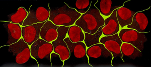 Serie “No Words”
Deze driedelige serie is geïnspireerd door het muziekstuk 