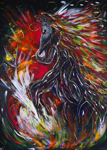 Passie, avontuur en transformatie!