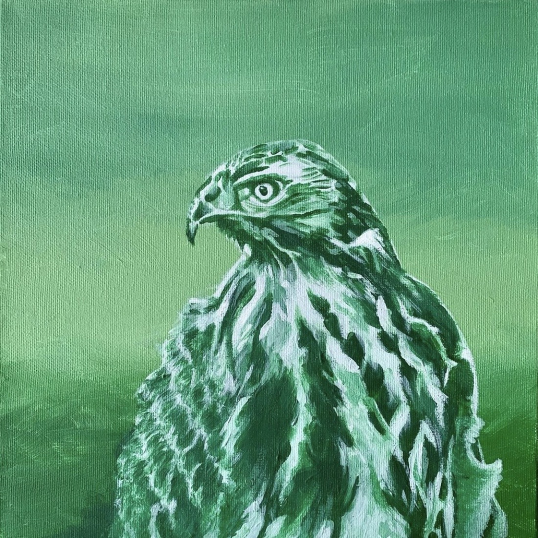 2018-01 buizerd