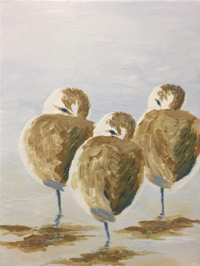 2017-11 strandlopertjes