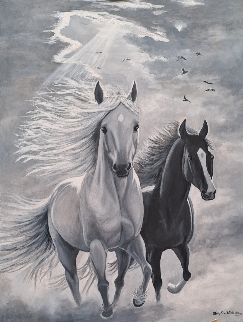 Black & White Beauty