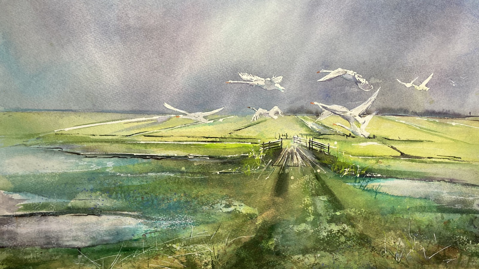 Een vlucht zwanen boven de polder