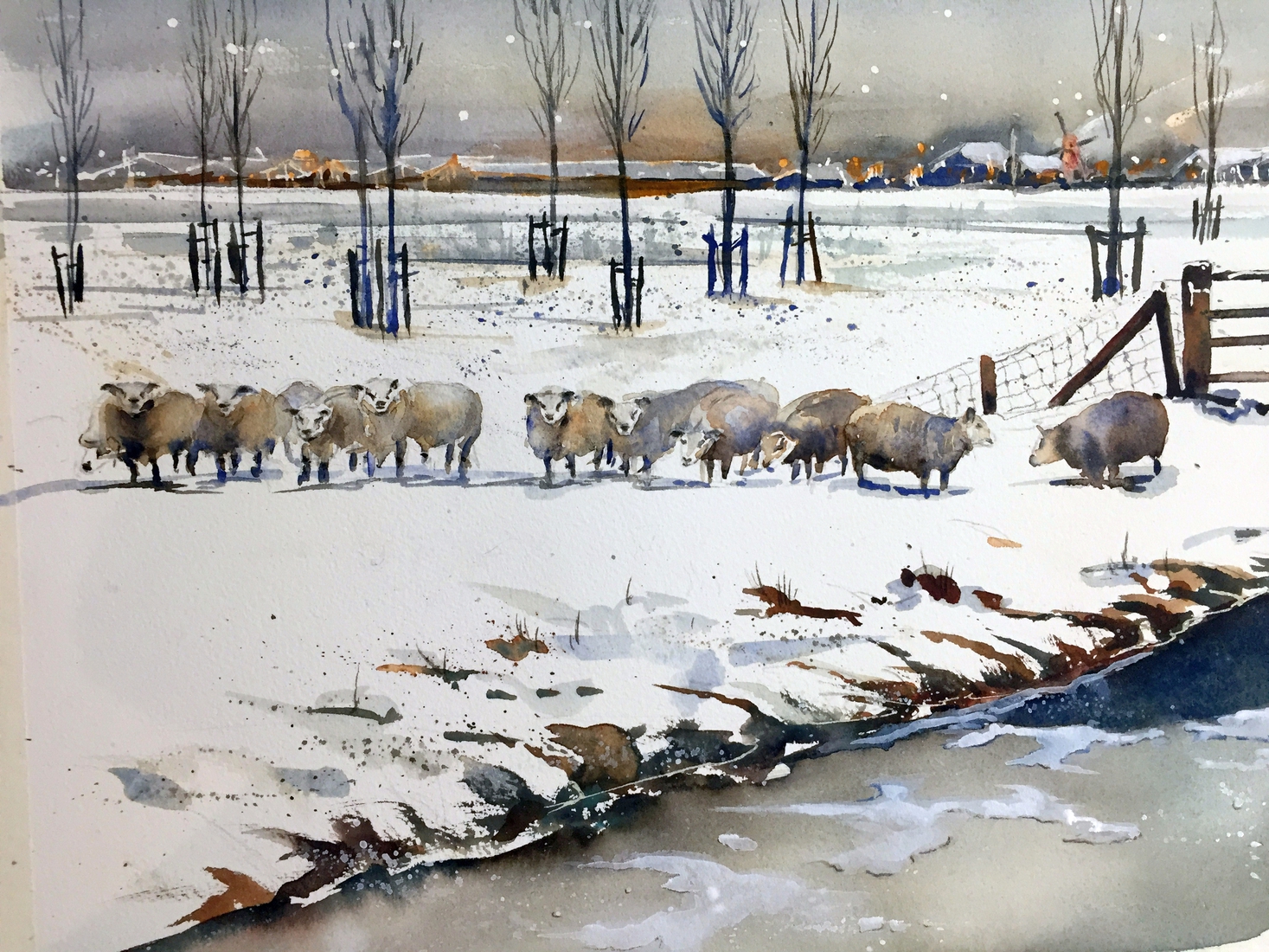 Schapen in de sneeuw bij Nootdorp