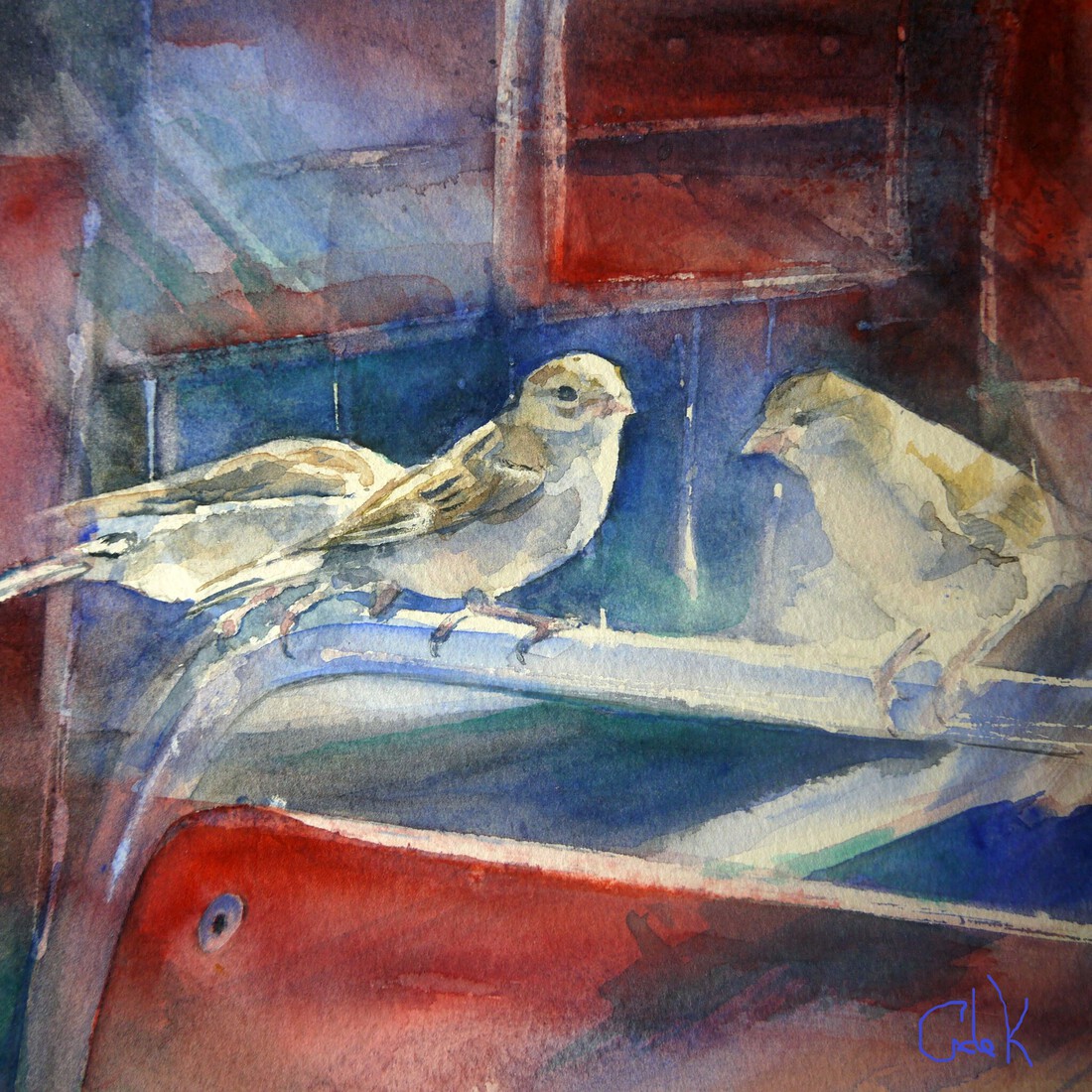 Mussen op het terras