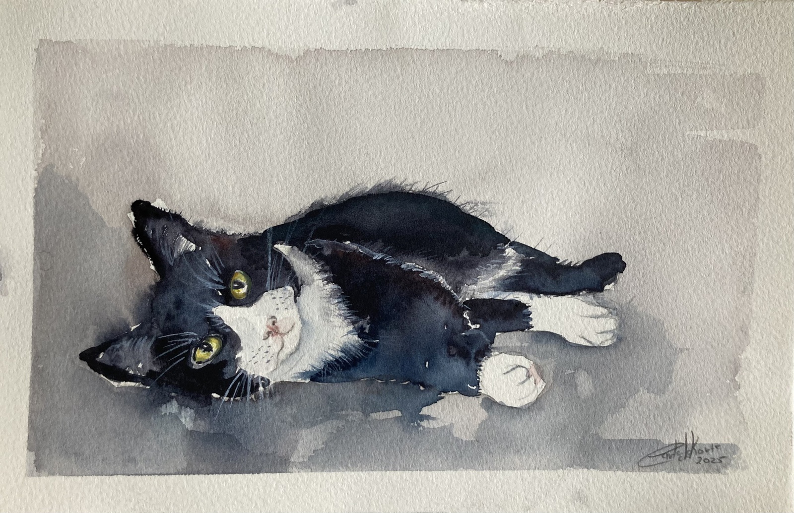 Poes in wit en Zwart